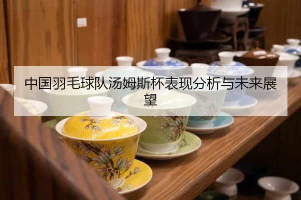 中国羽毛球队汤姆斯杯表现分析与未来展望